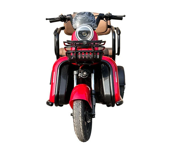 Electric Mobility Trike