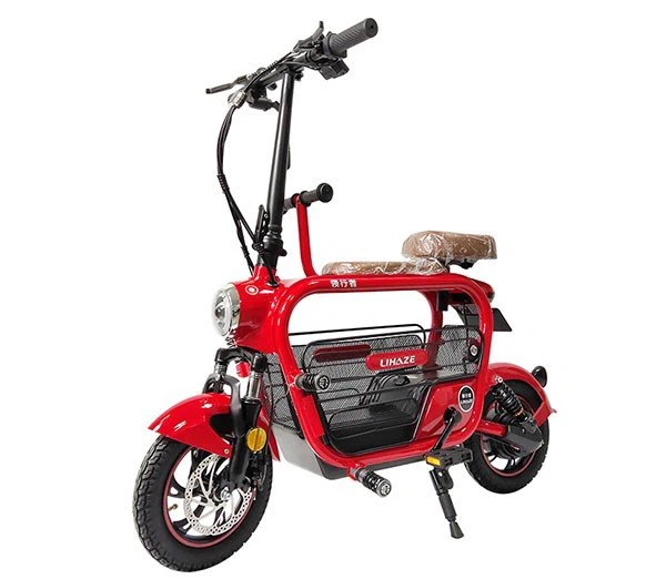 Lithnium Foldable Bicycle